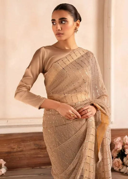 Moonlight Stitched Saree